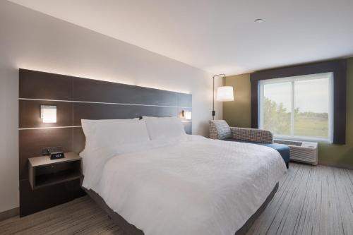 Postel nebo postele na pokoji v ubytování Holiday Inn Express & Suites Chicago - Hoffman Estates by IHG