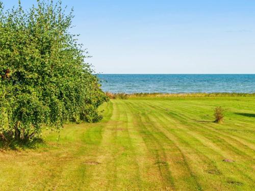 a field of grass with a tree and the ocean at 10 person holiday home in Alling bro in Nørager