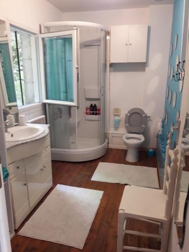 La salle de bains est pourvue d'une douche, de toilettes et d'un lavabo. dans l'établissement appartement complet 11 la roche racan 37370, à Saint-Paterne-Racan