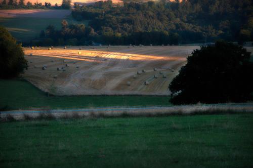 a field with people walking around a dirt road at B&B Le Vieux Marronnier in Foy-Notre-Dame