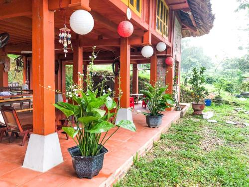a porch of a house with potted plants on it at Pài Bjooc homestay in Làng Mán