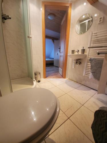 ein Bad mit einem WC und einer ebenerdigen Dusche in der Unterkunft Farma Malenice in Malenitz