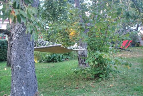 a hammock hanging from a tree in a yard at Ferienwohnung am Obstgarten in Bad Bocklet