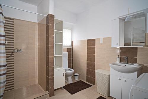 een badkamer met een toilet en een wastafel bij Anna Guesthouse in Lunca de Sus