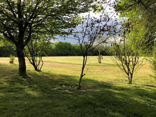 two trees in a grassy field with at La Tour de la Conterie in Beaumont-Village