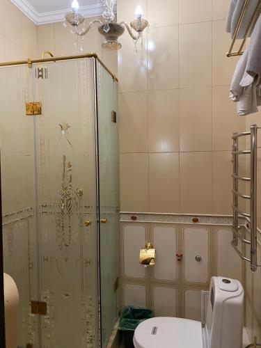 a bathroom with a shower and a toilet at Lion Hotel in Astana