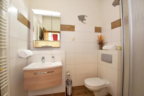 a bathroom with a toilet and a sink and a mirror at Weisser Brunnen in Gotha