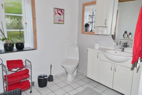 a white bathroom with a toilet and a sink at Skærbæk B and B in Skærbæk