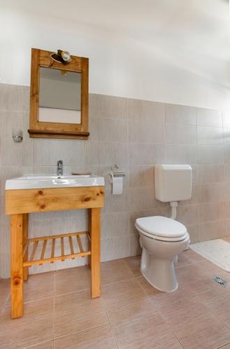 a bathroom with a toilet and a sink and a mirror at Casa Georgescu in Râşnov
