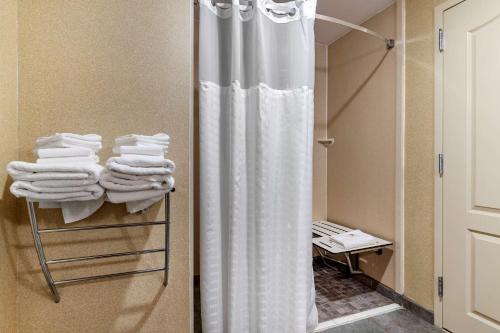 Bilik mandi di Comfort Suites Florence I-95