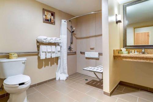 a bathroom with a toilet and a sink at Comfort Suites Gulfport in Gulfport