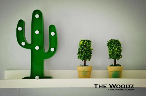 three potted plants sitting on a shelf with a cactus at The Woodz Homestay - 2 Storey Landed House in Cameron Highlands