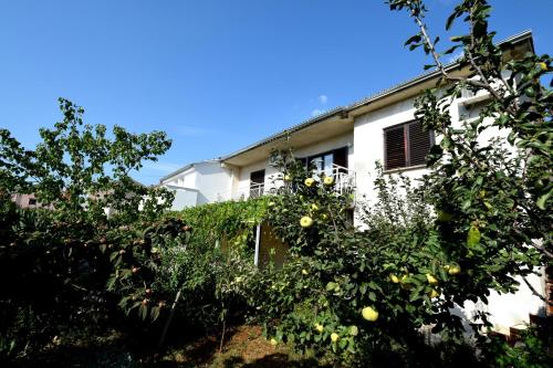 Φωτογραφία από το άλμπουμ του Apartments Blazevic σε Omišalj