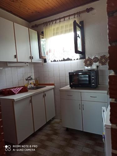 a small kitchen with a microwave and a sink at Konak Pahulja TARA in Bajina Bašta