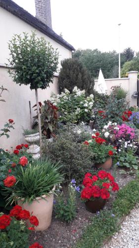 a garden filled with lots of different types of flowers at La Merlette89 in Lailly