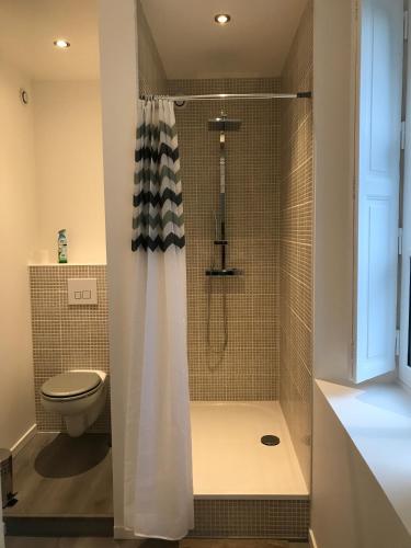 a bathroom with a shower and a toilet at VILLA EPERONNIERE in Nantes
