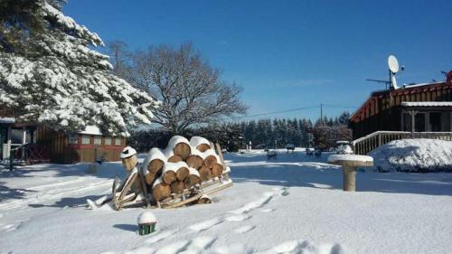 a pile of logs in the snow next to a building at Chalets des Trois Hêtres in Plombières-les-Bains