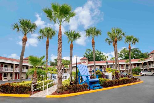 a blue chair sitting in a parking lot with palm trees at Hotel South Tampa & Suites in Tampa