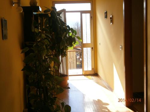a hallway with a plant in front of a door at B&B Pippinella in Urbania