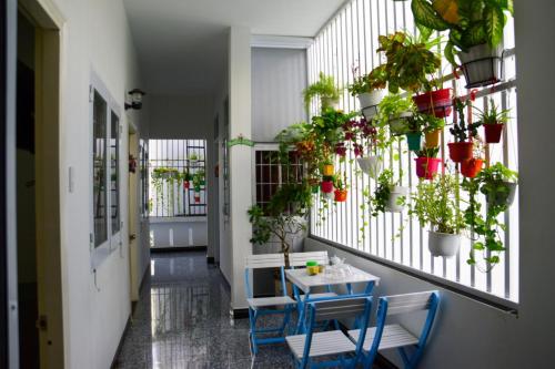 Fotografie z fotogalerie ubytování Blossom Homestay v destinaci Tuy Hoa