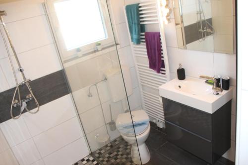uma casa de banho com um WC, um lavatório e um chuveiro em Haus Sperling em Bad Zwischenahn