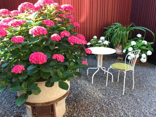 a patio with pink flowers and tables and chairs at Alte Schreinerei Boutique Hotel in Cologne