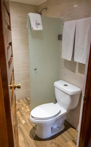 a bathroom with a white toilet and towels at Hotel San Francisco Plaza in Guadalajara