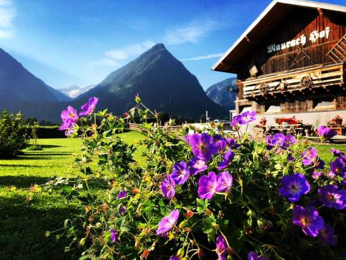 a group of purple flowers in front of a building at Gästehaus Dreier in Neukirchen am Großvenediger