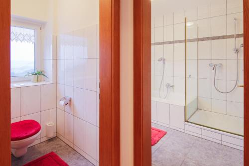 a bathroom with a shower and a toilet and a window at Berghof Vöglerbrand in Andelsbuch