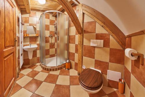 a bathroom with a toilet and a shower at Chalupa Baba-jaga Žacléř in Žacléř