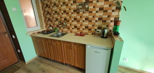 eine kleine Küche mit einer Spüle und einer Theke in der Unterkunft Luxor Inn & Suites in Czernowitz