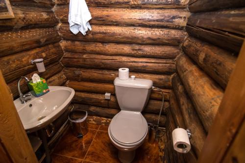 Vannituba majutusasutuses Log Cabin