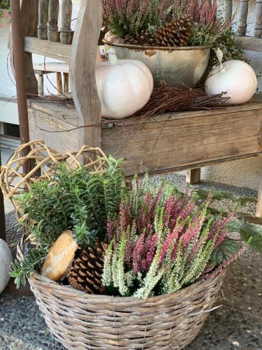 a basket of plants and pumpkins on a bench at Gasthof Hirschen in Oey