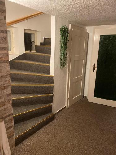 a hallway with stairs and a door with a plant at "Ruhige Naturlage im Wald" Ferienhaus mit Sauna in Großnaundorf