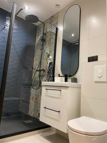La salle de bains est pourvue d'une douche, de toilettes et d'un miroir. dans l'établissement ** Appartement neuf hyper centre ville à Haguenau, à Haguenau