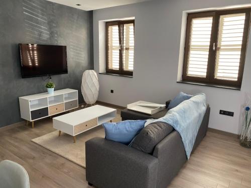un soggiorno con divano e TV di ** Appartement neuf hyper centre ville à Haguenau a Haguenau