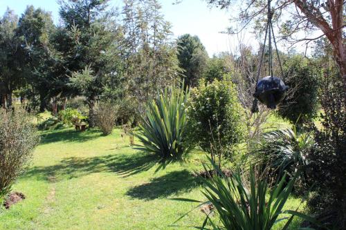 a garden with a bunch of plants and trees at El Reflejo Lodge Spa - Queilen - Chiloé in Queilén