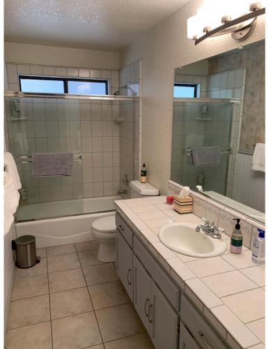 a bathroom with a sink and a toilet and a mirror at Mandala Springs in Cobb