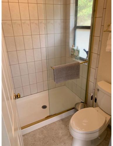 a bathroom with a shower with a toilet at Mandala Springs in Cobb