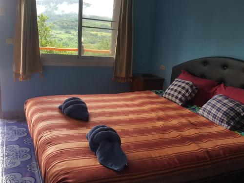 Fotografie z fotogalerie ubytování ไร่ภูจำปา v destinaci Khao Kho