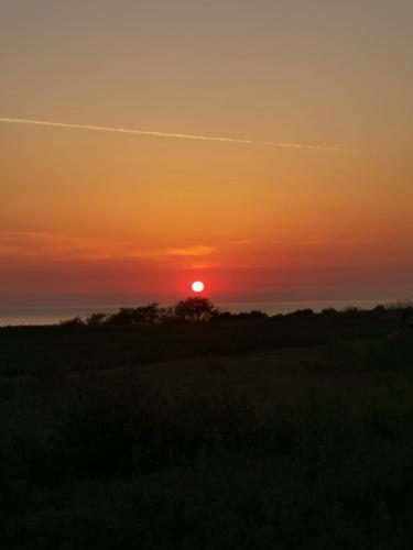 a sunset over a field with a tree in the foreground at Agriturismo La Costa dei Trabocchi in Torino di Sangro