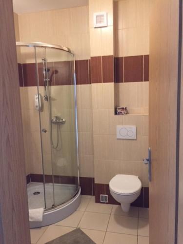 a bathroom with a shower and a toilet at Penzión a Reštaurácia Harmónia Ostratice in Malé Ostratice