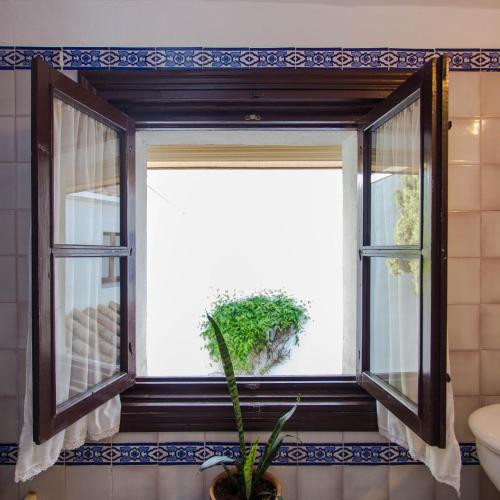 a window with a plant in a bathroom at Casa del siglo XVII in Seville