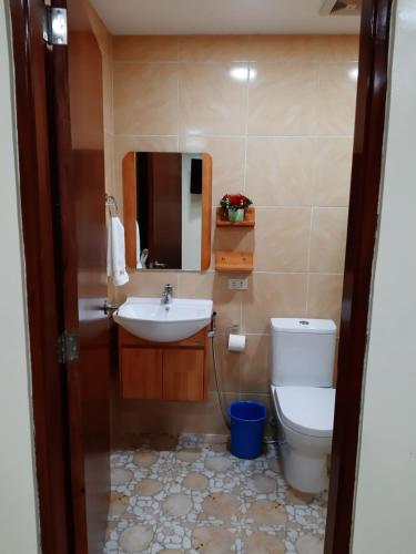 een badkamer met een wastafel, een toilet en een spiegel bij Monty's Riverside View Resort in San Antonio