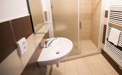 a bathroom with a sink and a shower at Váňův statek in Pelhřimov