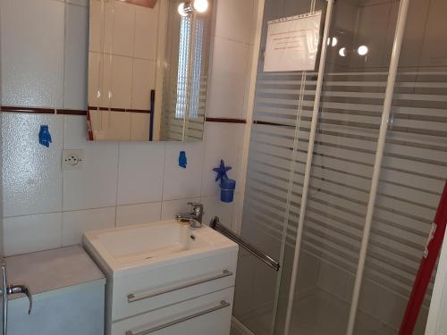 a small bathroom with a sink and a shower at Apartamentos Grifo Vacances Grizzly in Pas de la Casa