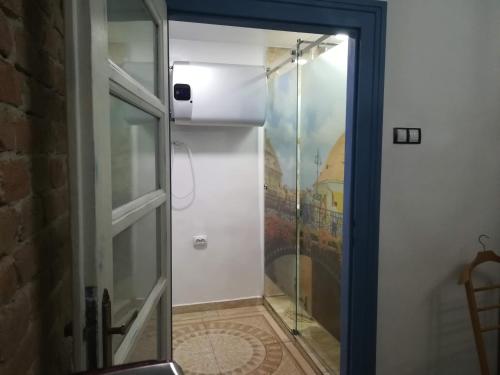 szklane drzwi do prysznica w pokoju w obiekcie VintageTrib w Sybinie