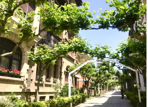a street with buildings and trees and a person walking down the street at Estudio independiente Forget Me Not in Getxo