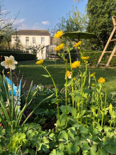 a garden with yellow flowers in a yard at Ferienhaus Plan B. Wittlich in Wittlich