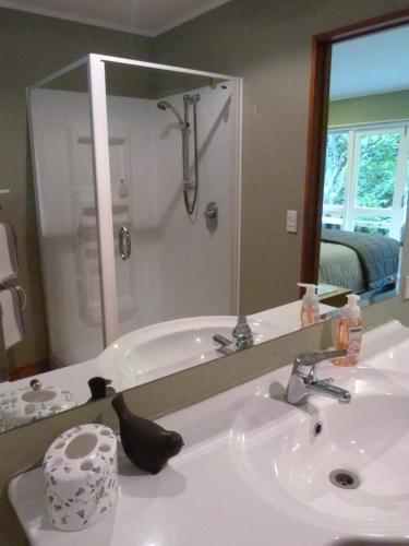 a bathroom with a sink with a large mirror at Fred&Donz Bed and Breakfast in Taupo